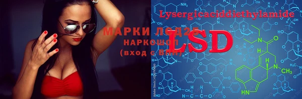 PSILOCYBIN Струнино