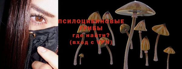 гидропоника Верхний Тагил