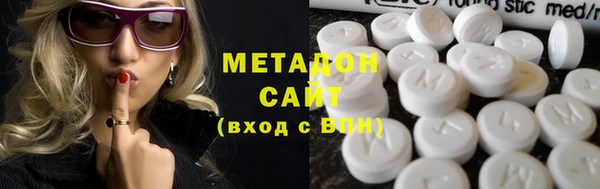 прущие грибы Бородино