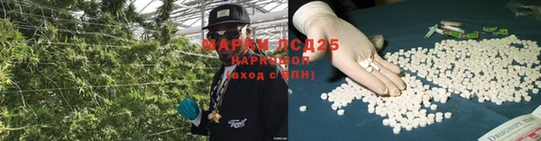 mix Богородицк