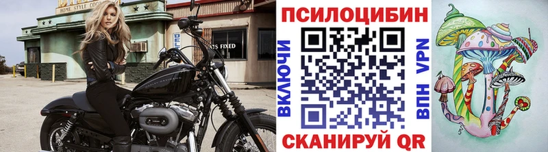 как найти закладки  Зима  Псилоцибиновые грибы ЛСД 